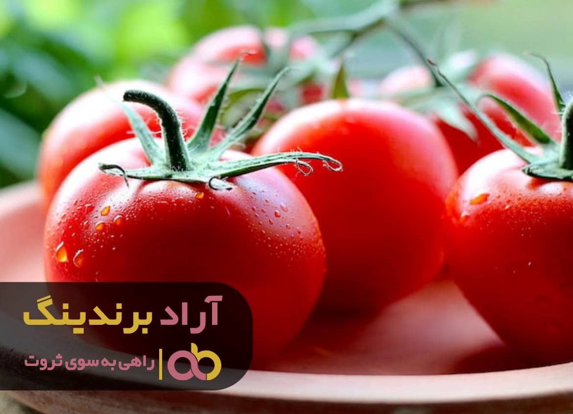 گوجه ربی اصفهان